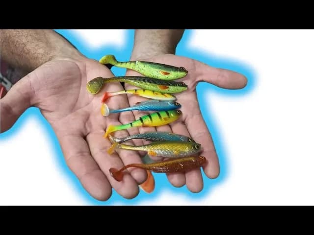 Gdzie kupić robaki na ryby: najlepsze sklepy i sprawdzone miejsca sprzedaży