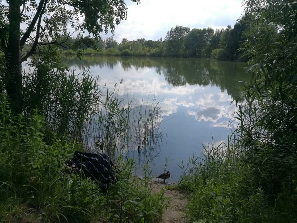 Glinianki Zielonka - Stawy w miejscowości Zielonka