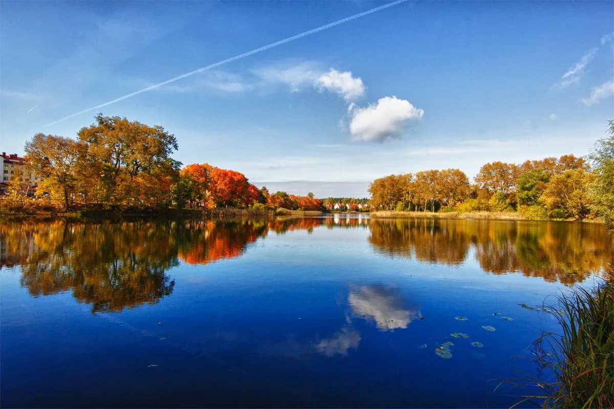 Zasmakuj wędkowania w Jeziorze Zagnanie - przewodnik dla miłośników ryb.