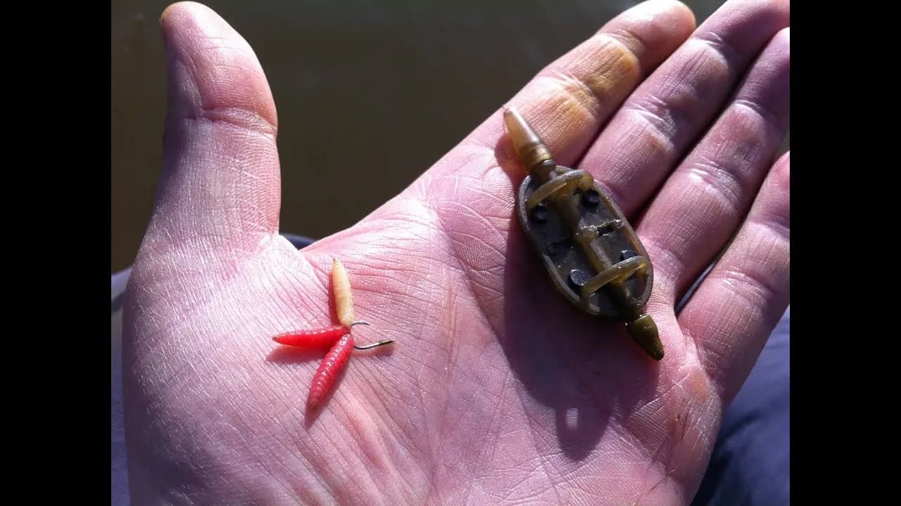 Jak wyhodować białe robaki na ryby w prosty sposób - kompletny poradnik