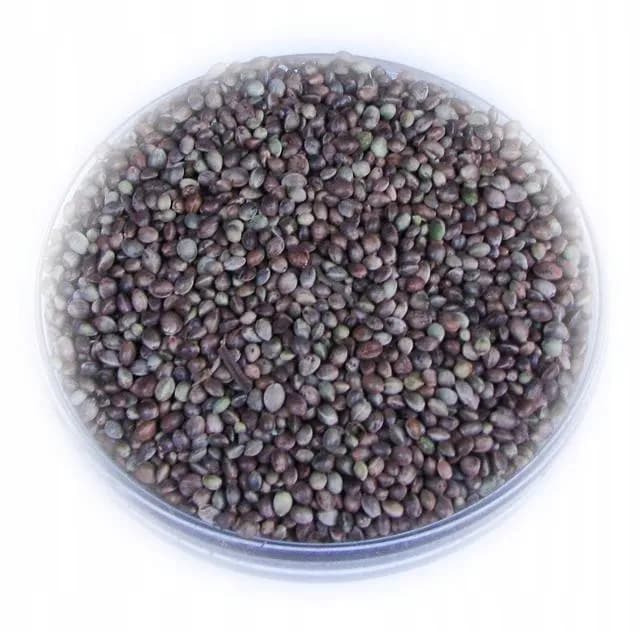 Gdzie kupić konopie na ryby: kompletny ranking najlepszych sklepów