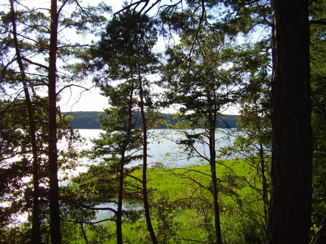 Jezioro Kośno: piękne miejsce na wypoczynek i wędkowanie w naturze