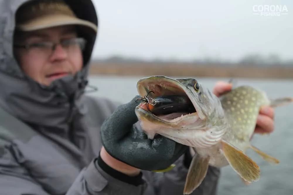 Jaka plecionka do multiplikatora - wybierz najlepszą dla siebie