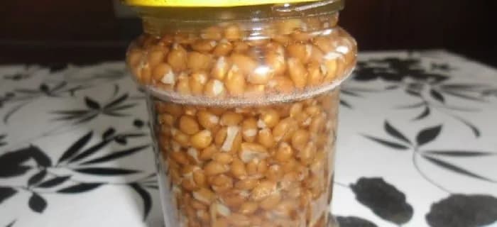 Jak przygotować pszenicę na ryby: skuteczna zanęta na duże karpie