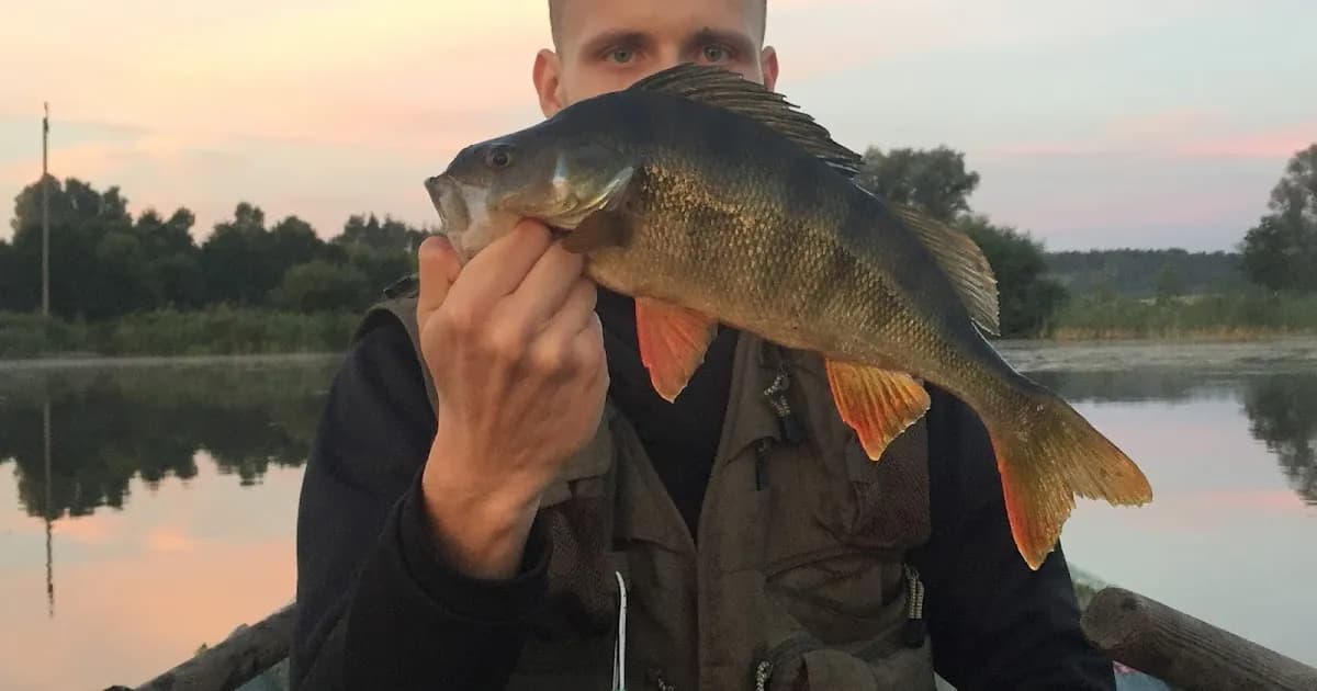 Jak złowić okonia na spinning – skuteczne techniki i porady dla wędkarzy