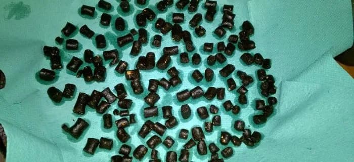 Domowy pellet na ryby - nauczysz się zrobić skuteczną zanętę wędkarską